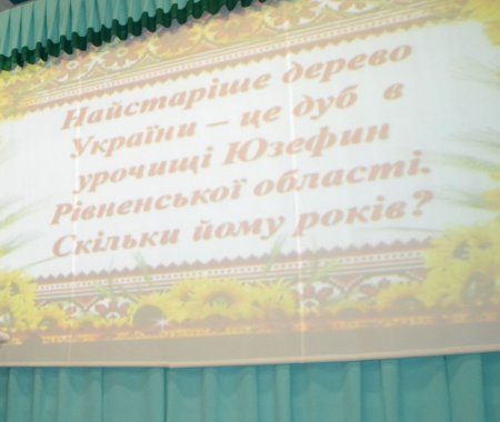День української мови та писемності в ЗОШ №29