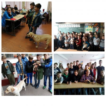 Уроки доброти  «Гуманне та відповідальне ставлення до тварин» у ЗЗСО міста