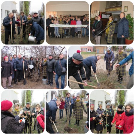Учні ЗОШ № 5 долучилися до Всеукраїнської акції  «Посади дерево миру»