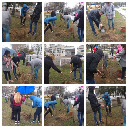 Старшокласники ЗОШ №30 висадили дерева біля школи
