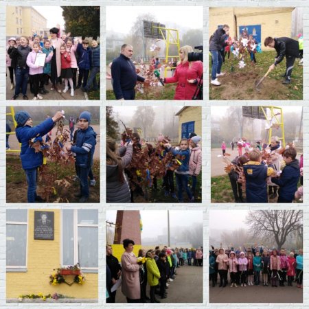 Всеукраїнська акція «Посади дерево миру» у ЗЗСО № 19